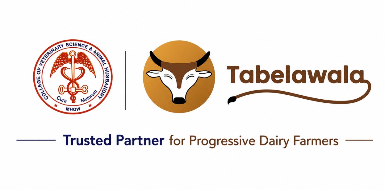 FEMALE DAIRYPRENEUR AWARD