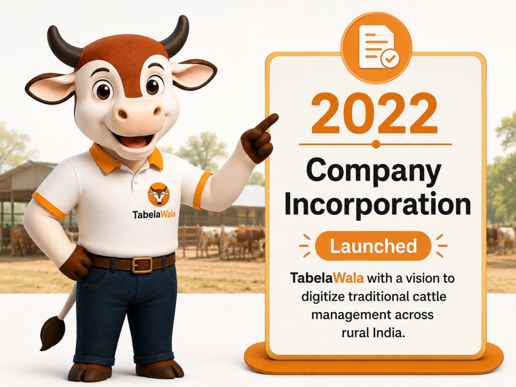 Company Incorporation